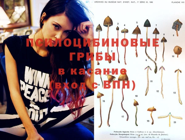 дмт Алексин
