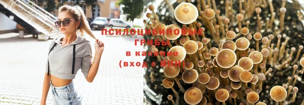соль ск Арсеньев