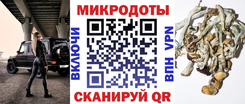 Купить  Красновишерск  Галлюциногенные грибы Cubensis 